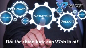 Đối tác chiến lược V7SB là ai?