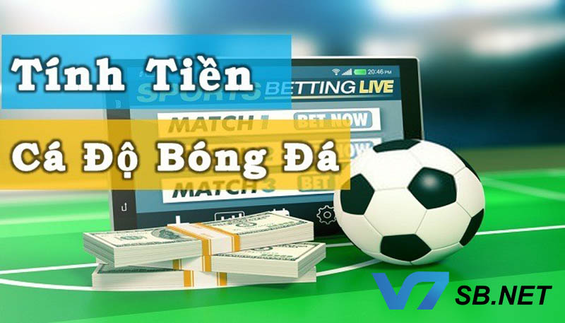 Cách tính tiền trong cá độ bóng đá khi thắng